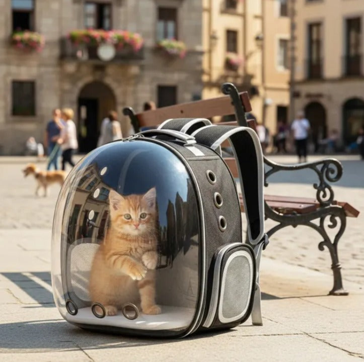 Mochila para llevar mascotas