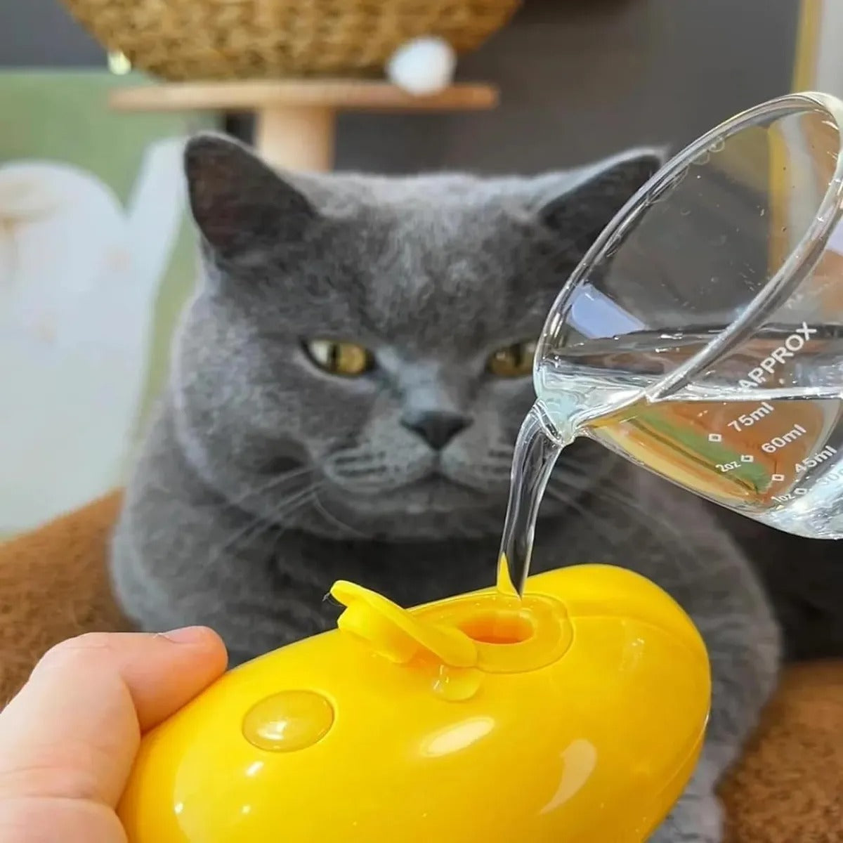 Cepillo humidificador para mascotas