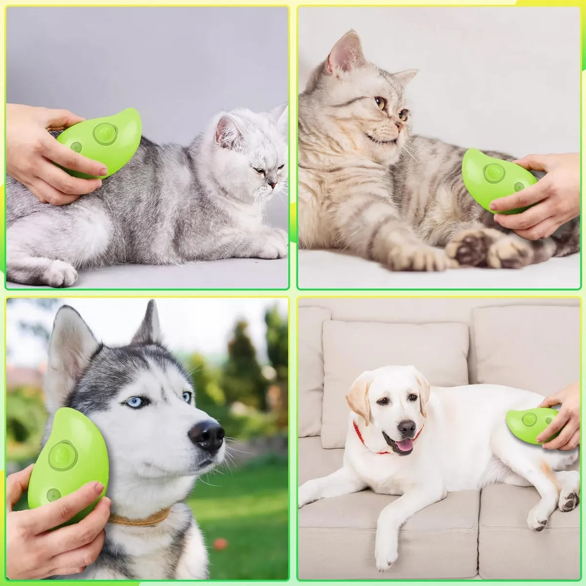 Cepillo humidificador para mascotas